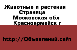  Животные и растения - Страница 11 . Московская обл.,Красноармейск г.